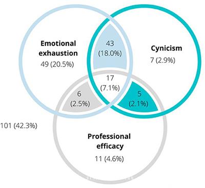 A Mixed Methods Investigation of Stress and Wellbeing Factors Contributing to Burnout and Job Satisfaction in a Specialist Small Animal Hospital